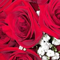 g4ng!++ (feat. KillBunk) - Single - Pluto Kar