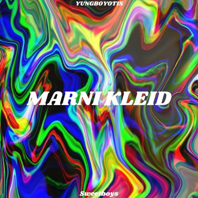 Marni Kleid - Single