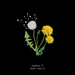 imagine if (feat. ruth b.) - Single - Gnash imagine if (feat. ruth b.) - Single - Gnash