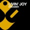 Dreamer (Michael Andre & SMB Mix) - Livin' Joy lyrics