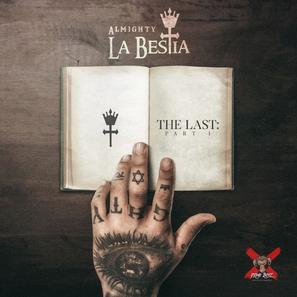 La Bestia 🤕 • • #sadboyshit🥀 #cover