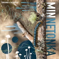 Minnetonka - Single - Daytrippers & Sun Sounds