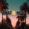 What You Need (feat. Sean Carson, BoddyBag Jones & Wali Ali Jr) - Single