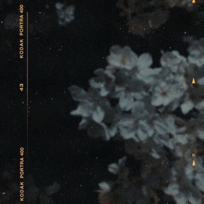 The Bells Don't Ring Here - EP
