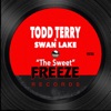 Todd Terry & Swan Lake