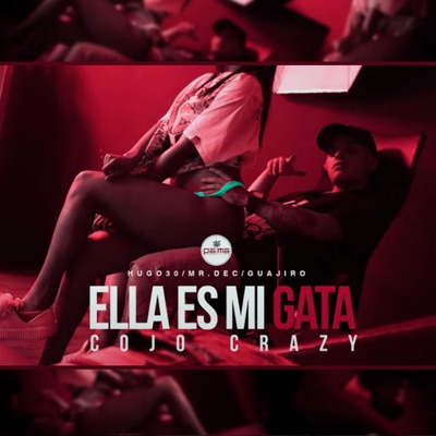 Ella Es Mi Gata - Single