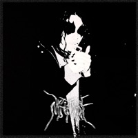 Winter Is Cold - Single - Nyhtmare