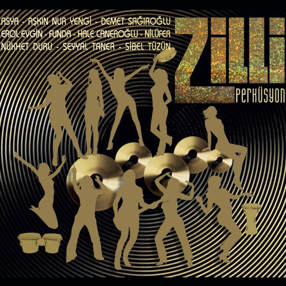Cover artwork for Sevdan Olmasa