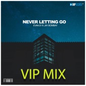 Never Letting Go (feat. Jay Bombay) [VIP Mix] artwork