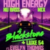 High Energy (feat. Evelyn Thomas) [Nu Bass Mix] - Single