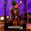 Haroldo Jr