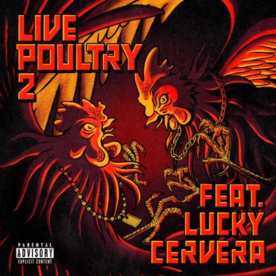 Live Poultry 2 "Gallos Dorados"