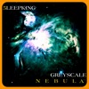 Greyscale Nebula (Colorvoid Mix) - Single