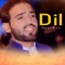 Dil - Adnan Niazi lyrics