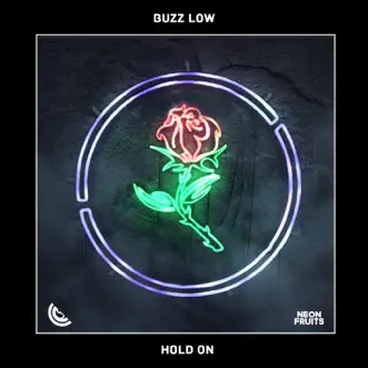 Hold On by Buzz Low song reviws