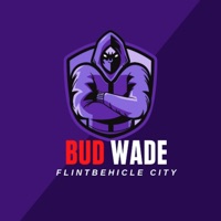 Flint Behicle City - Bud Wade