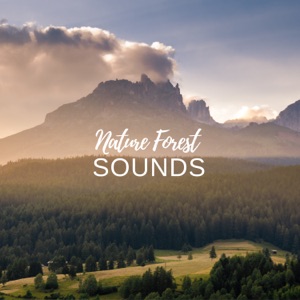 Nature Forest Sounds