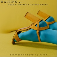 Waiting... (feat. D. Bridge & Alfred Banks) - Single - Rodo