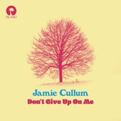 Don't Give Up On Me - Single