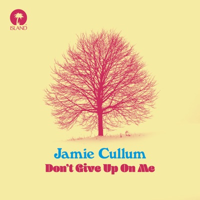 Don't Give Up On Me - Single