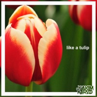 Like a Tulip - Single - Joakim Karud