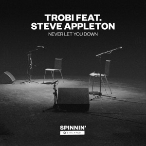 Never Let You Down (feat. Stevie Appleton) [Acoustic Version]
