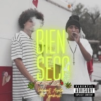 Bien Seco (feat. The Saikush) - Single - Vincent Ayala