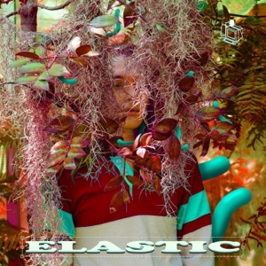 Elastic - Single