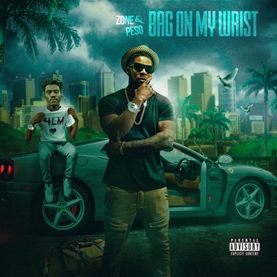 Bag on My Wrist (feat. Peso) - Single