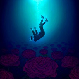 Into the Dark (Acoustic) Point North