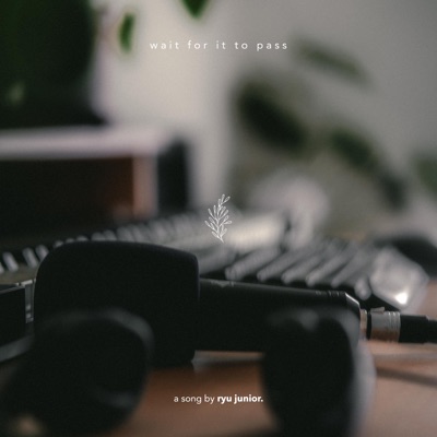 Wait For It To Pass - Single