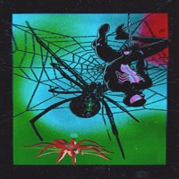 #757 Spider King #757# - RODEOGLO