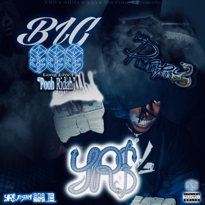 BIG 333 (LongLivePooh)