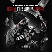 I Knew This Would Happen - Lando Bando