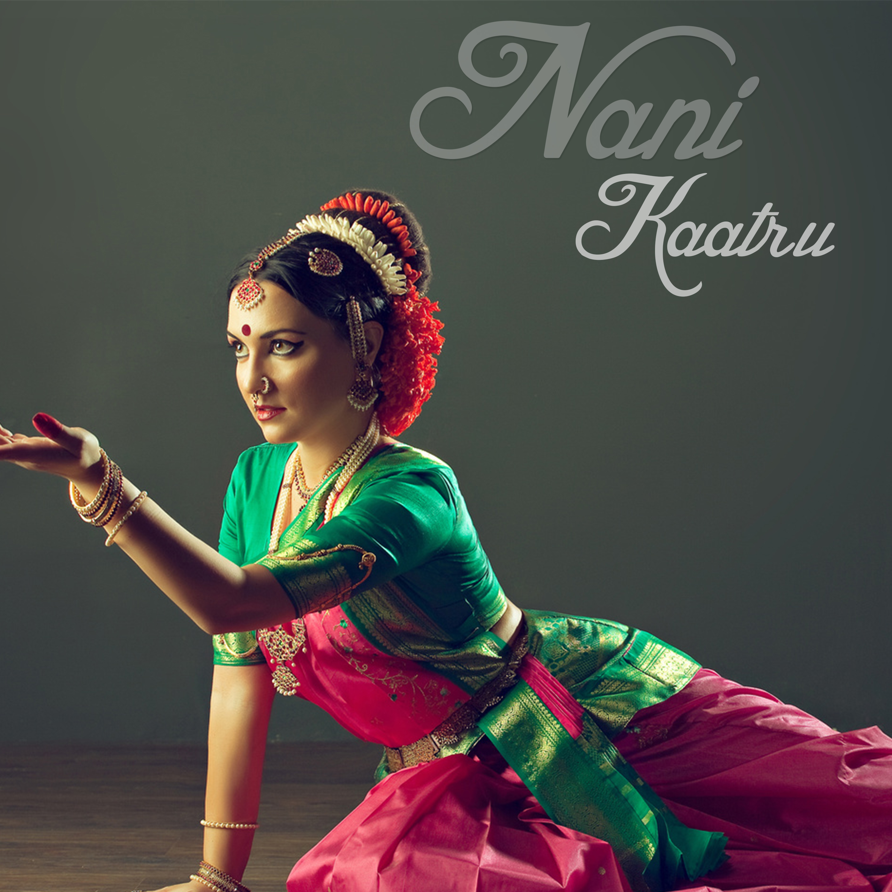 Nani - Single