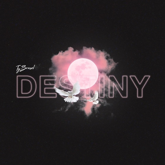 Cover artwork for Destiny