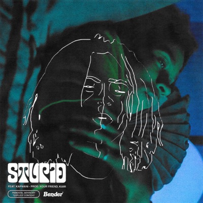 Stupid (feat. Kapwani) - Single