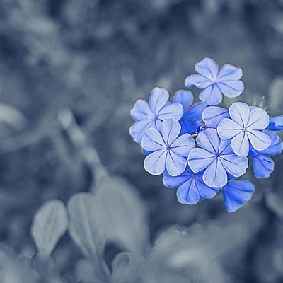 Sippy Cup (feat. Concern) - Single