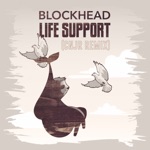 Life Support (CNJR Remix) - Single