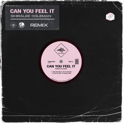 Can You Feel It (DJ Fuel Remix) - Single