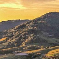 Jos Ranga Stop Violenta (feat. Katalin Talent) - Single - PartyFace Sounds