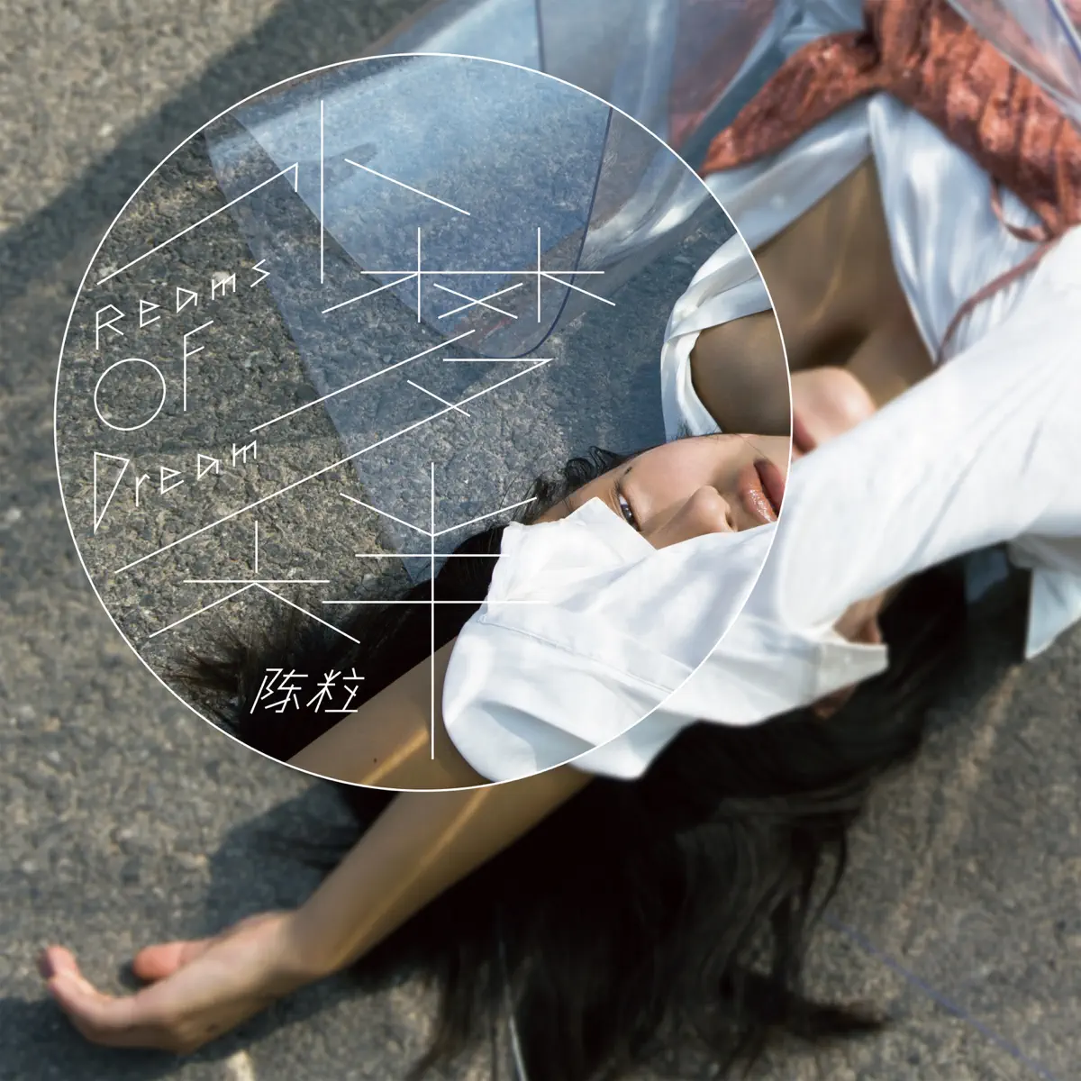 陈粒 - 小梦大半 (2016) [iTunes Plus AAC M4A]-新房子