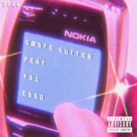 Nokia C2-01 (feat. Lars Bond, Hævk, Moe3, Ys1 & Esso) - Single - Gæste Gutter