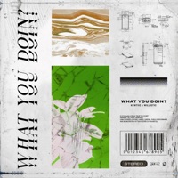 What You Doin'? (feat. Willistic) - Single - Kewtiie