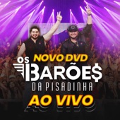 DVD Novo dos Barões da Pisadinha - Ao Vivo artwork