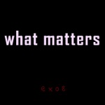 Ex08 - What Matters BLM