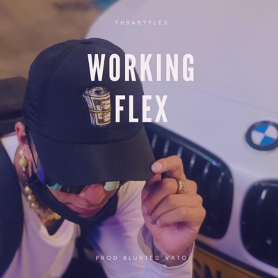 Working Flex - Single