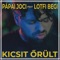 Kicsit őrült (feat. LOTFI BEGI) artwork