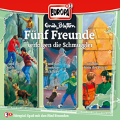 3er Box, Vol. 15: Fünf Freunde verfolgen die Schmuggler
