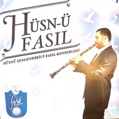 Hüsn-ü Fasıl artwork